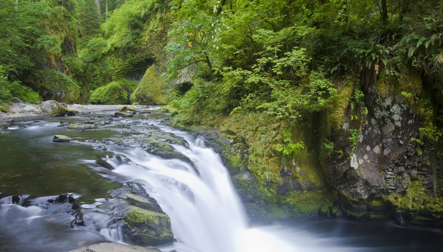 Tips for Camping at the Gorge