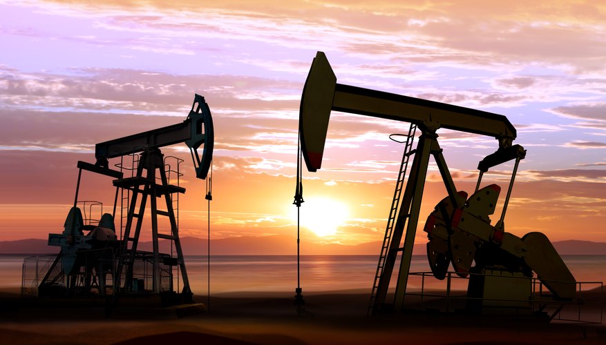List of Natural Resources in the Coastal Plains | Sciencing