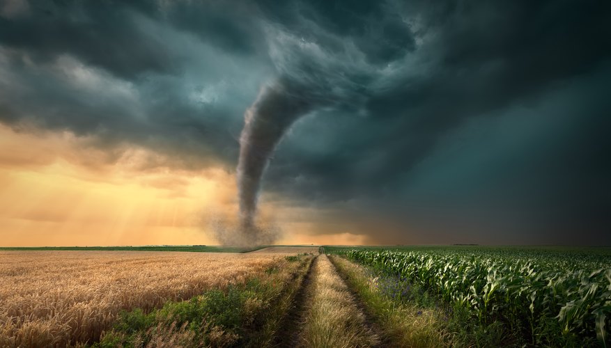 What Does Tornado Warning Mean?