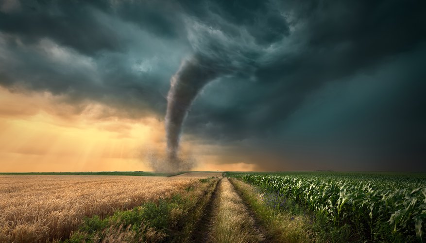 What Does Tornado De Cabious Mean In English