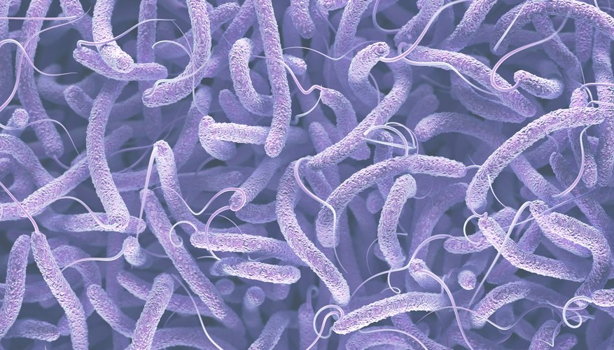Photo Credit: KTSDESIGN/SCIENCE PHOTO LIBRARY/Science Photo Library/GettyImages