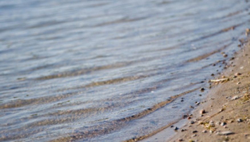 Photo Credit: Jupiterimages/Photos.com/Getty Images Freshwater biomes are found around rivers, streams and other watery areas.