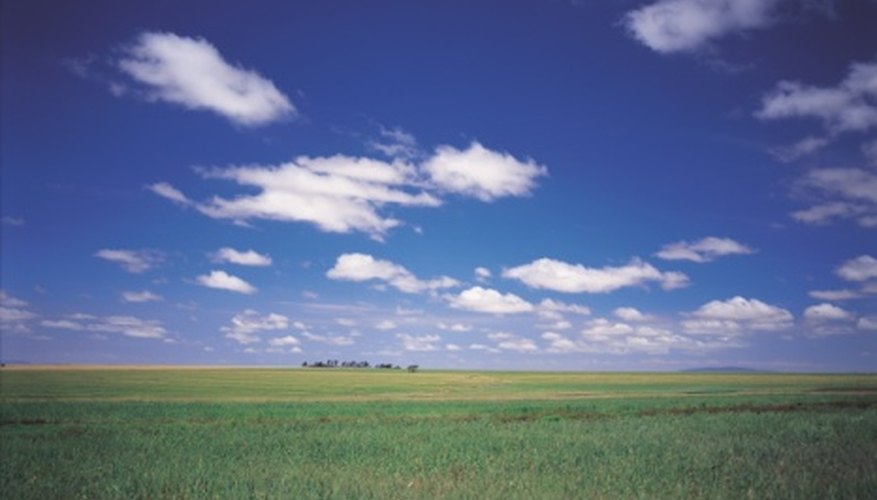 Natural Resources of the Grassland Biome Sciencing