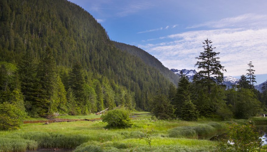 Photo Credit: Ryan McVay/Lifesize/Getty Images Enjoy the great outdoors, and remember to always practice fire safety.