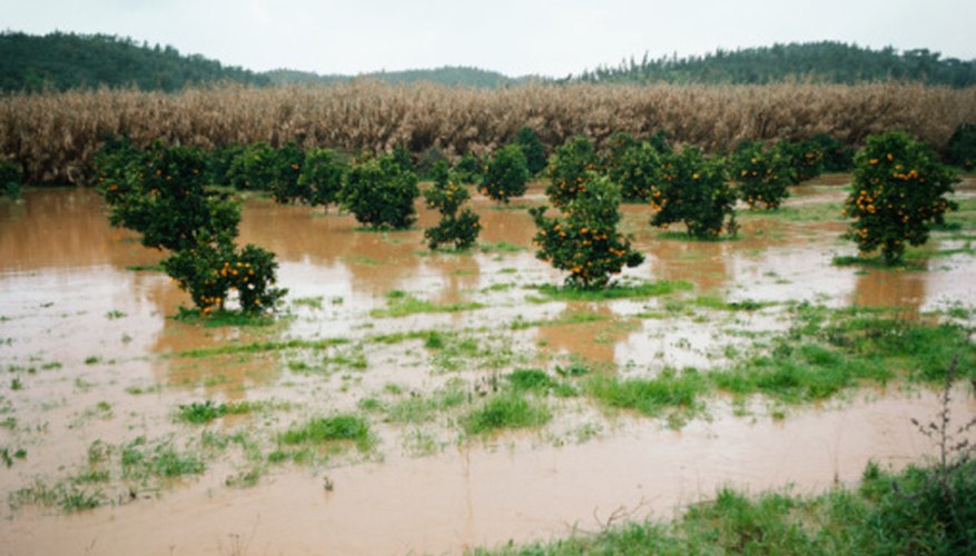 positive-effects-of-floods-sciencing