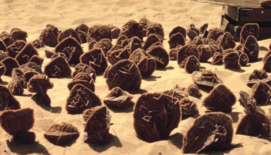 El yeso es un cristal de pequeño tamaño utilizado en la producción de paneles de yeso.