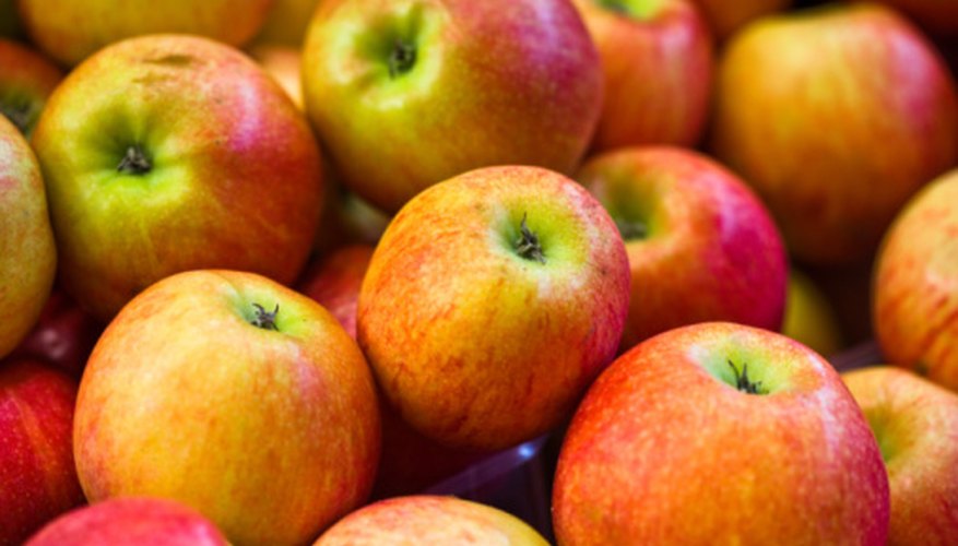 Photo Credit: Jupiterimages/Photos.com/Getty Images Mould can develop on spoiled fruit and tends to be colorful in appearance.
