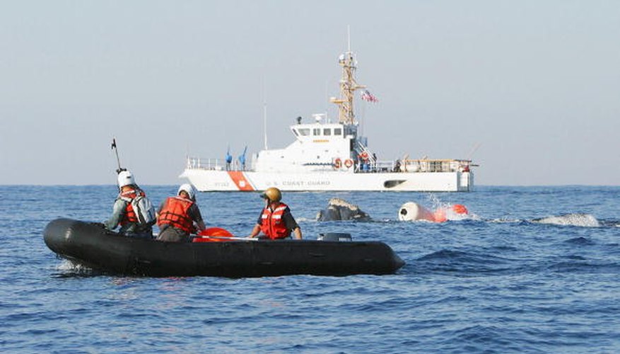 Photo Credit: Getty Images/Getty Images News/Getty Images Rescuers attempt to free a northern right whale that became entangled in a commercial fishing net.