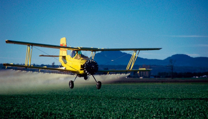 Photo Credit: Jupiterimages/liquidlibrary/Getty Images Use of insecticides has decreased in GMOs.