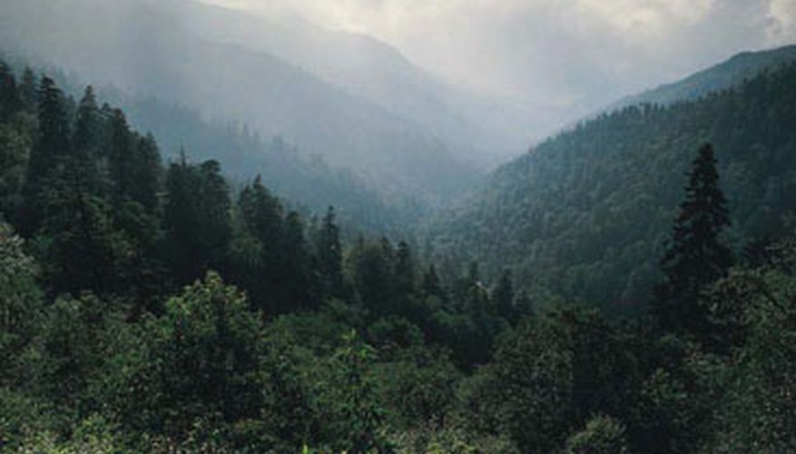 Photo Credit: Stockbyte/Stockbyte/Getty Images The Appalachians are a vast system of scenic mountains and ridges.