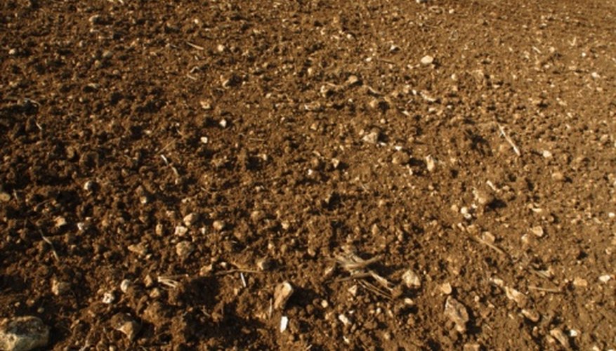 Photo Credit: Jupiterimages/Photos.com/Getty Images There are three texture classes of soil: sand, silt and clay.