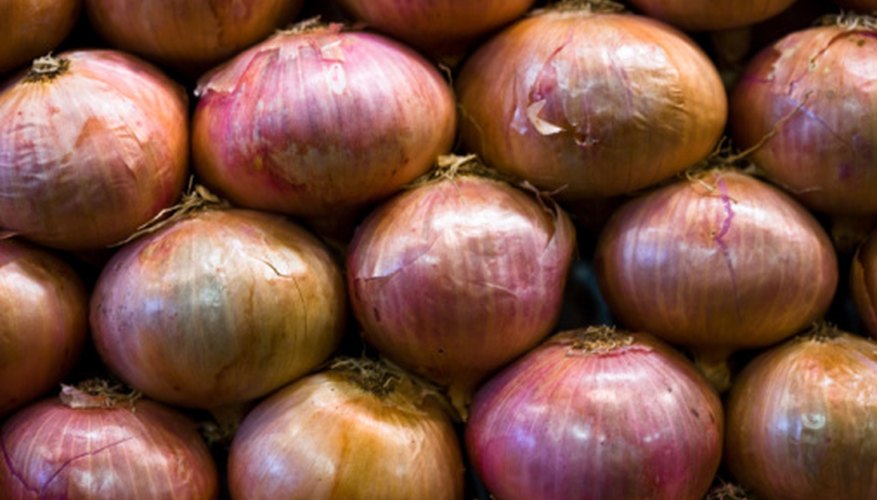 How to Plant Onions in Colorado | Garden Guides