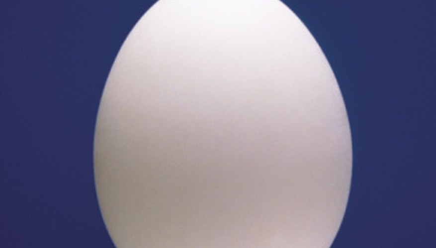 Photo Credit: Ablestock.com/AbleStock.com/Getty Images Make an egg float in water.