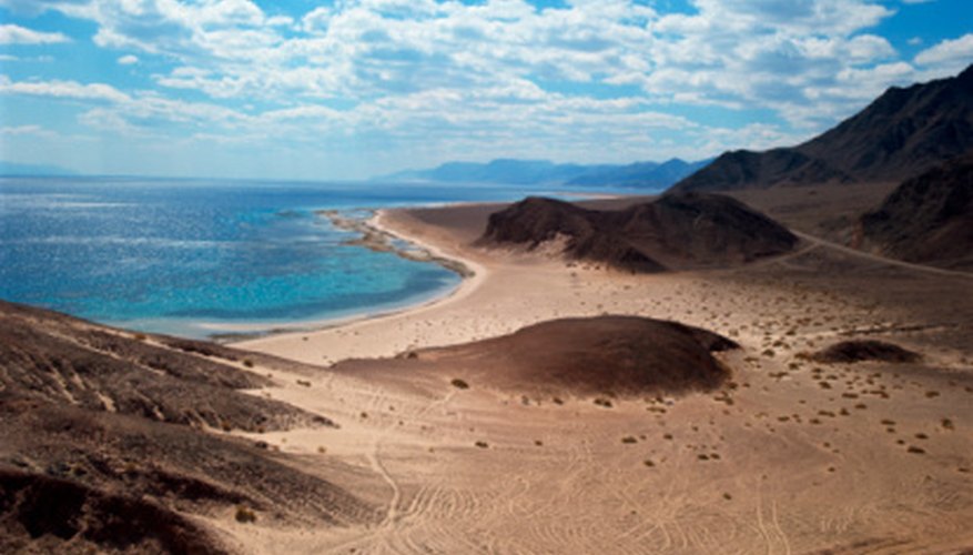 Photo Credit: Creatas Images/Creatas/Getty Images The Red Sea is an example of a mature rift valley, located between the Arabian Plate and African (Nubian) Plate.