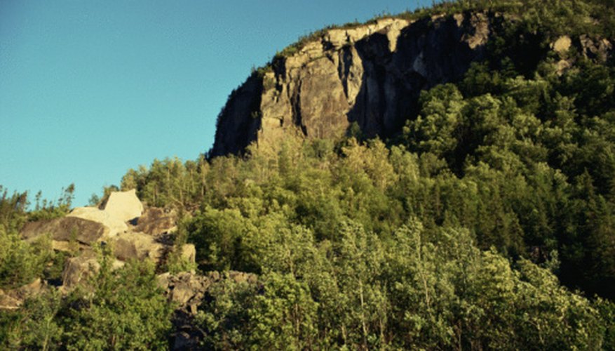 Photo Credit: Jupiterimages/Photos.com/Getty Images A de-vegetated canyon may see enhanced run-off, erosion and sedimentation.