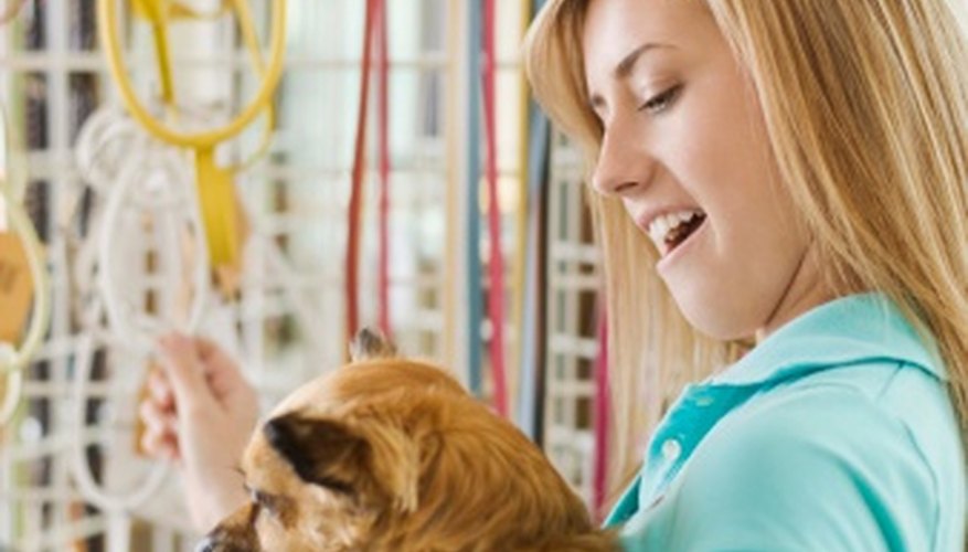 Los dueños de los perros que quieren vestir a sus mascotas son una serie de clientes objetivos.