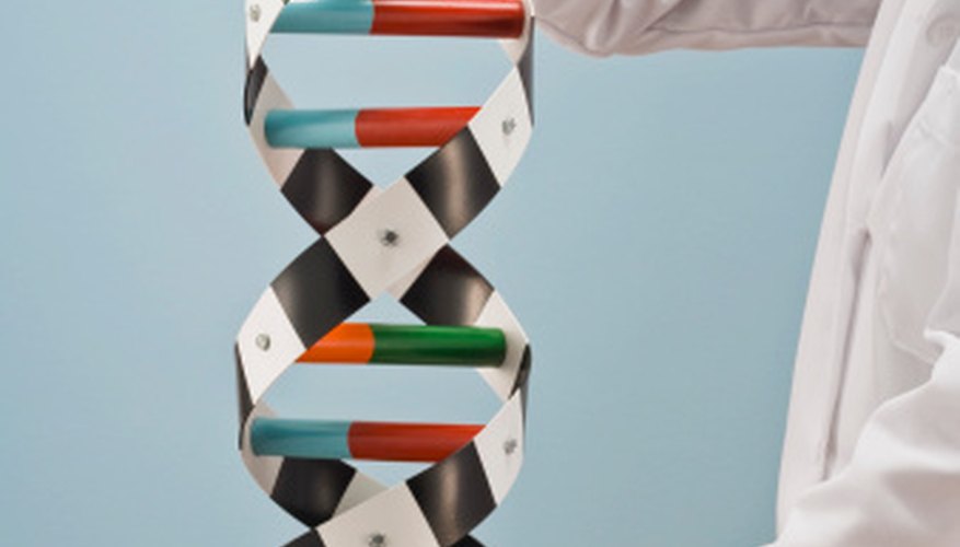 Photo Credit: Thinkstock Images/Comstock/Getty Images Scientists use models to better understand the world, and so can you.