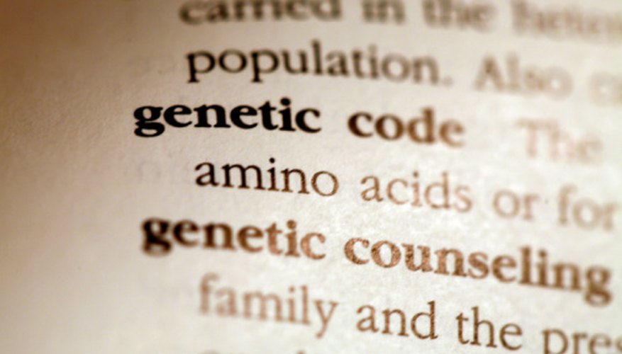 Photo Credit: Jupiterimages/Photos.com/Getty Images Different variants of genes are called alleles.