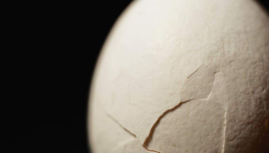 Photo Credit: Photodisc/Photodisc/Getty Images Egg drop contests can teach basic scientific principles.