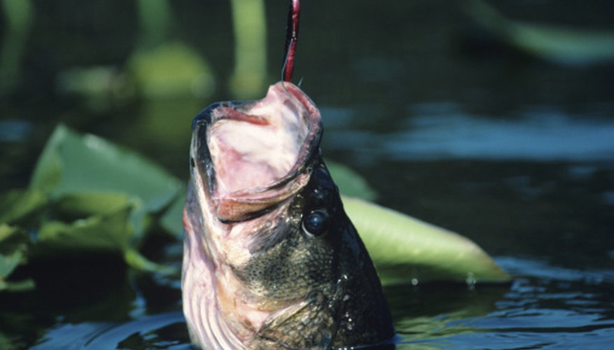 Fishing Spots Close to Columbus, Ohio