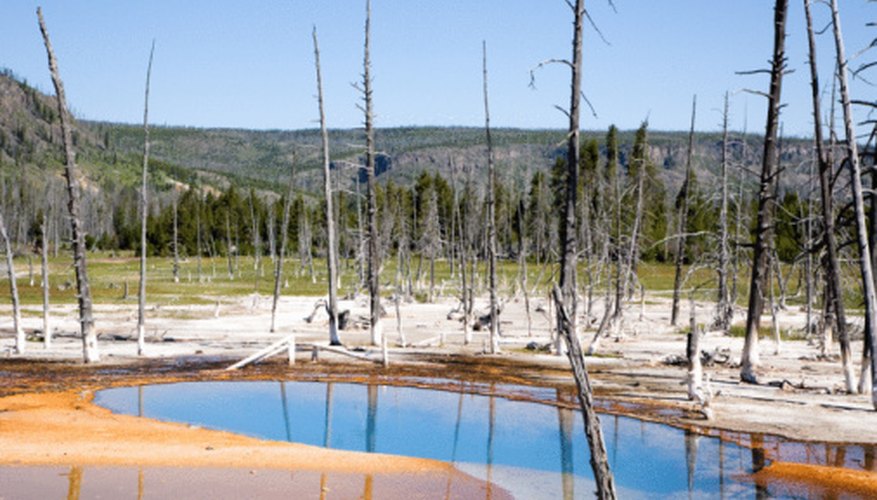 Photo Credit: Jupiterimages/Photos.com/Getty Images Yellowstone's hydrothermal features were a major reason the world's first national park was established.
