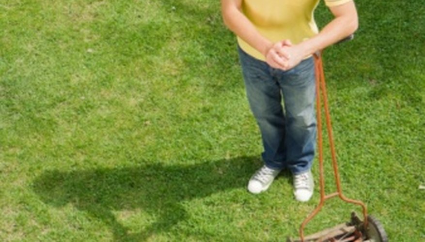 How to Troubleshoot a Task Force Reel Lawn Mower Garden Guides