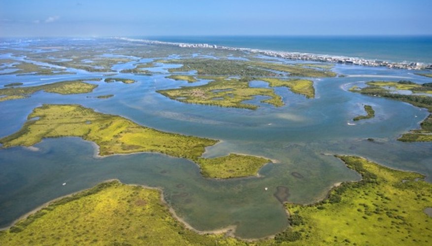 Photo Credit: Jupiterimages/Comstock/Getty Images Aerial view of Florida wetlands
