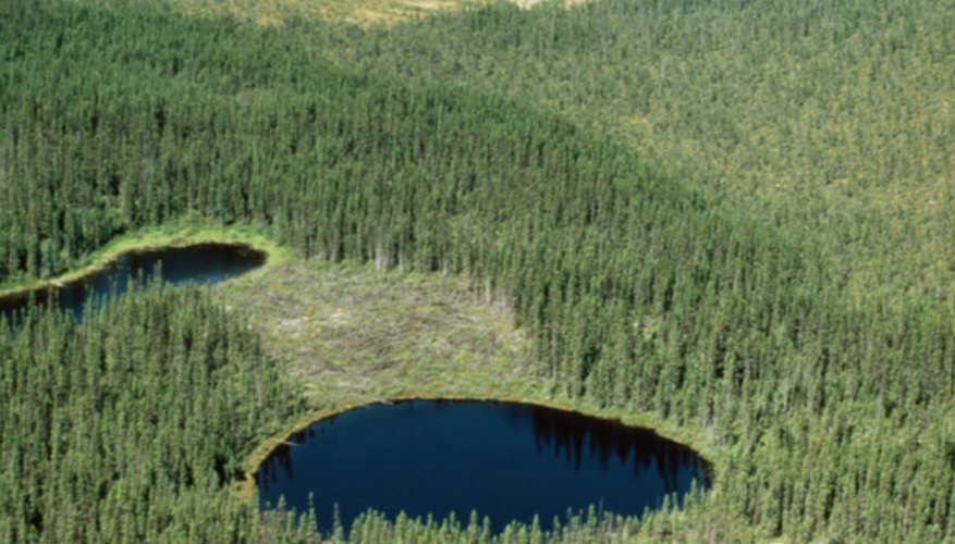 Photo Credit: Photos.com/Photos.com/Getty Images Ponds are small enough to fit in a picture.