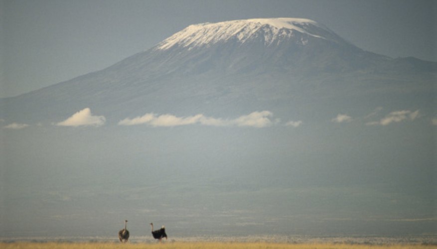 Photo Credit: Comstock/Comstock/Getty Images Mt. Kilimanjaro has a glacier even though it is near the equator.