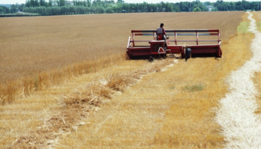 Grassland Biome Dangers | Sciencing