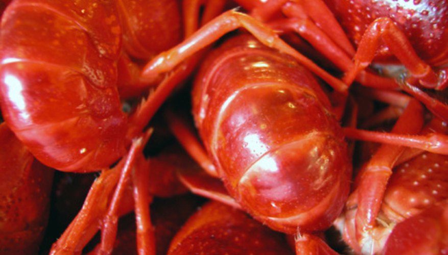 Photo Credit: Ablestock.com/AbleStock.com/Getty Images Crayfish are eaten as a delicacy in many parts of the world.