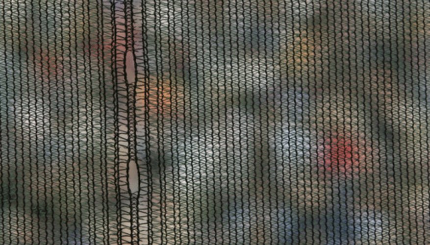 Repairing screens helps keep Asian lady beetles and lady bugs outside. Repairing screens helps keep Asian lady beetles and lady bugs outside.