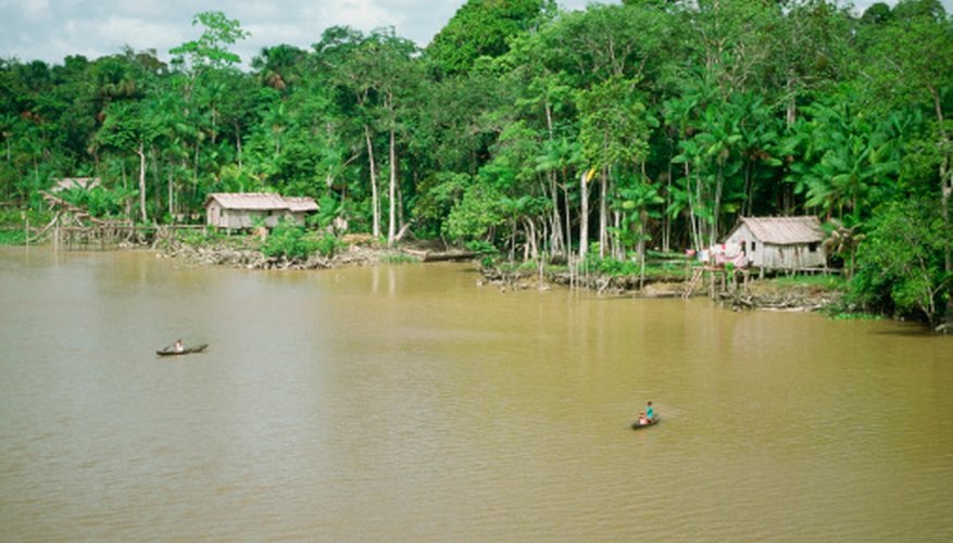 Photo Credit: Medioimages/Photodisc/Photodisc/Getty Images The tropical rainforests in South America are lush.