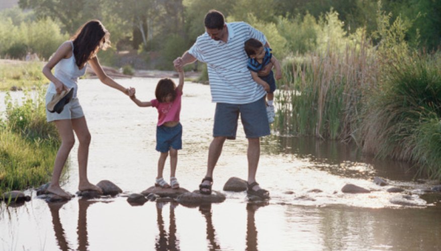Photo Credit: Polka Dot Images/Polka Dot/Getty Images Ecosytems at ponds are affected by many factors, including human contact.