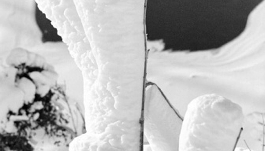 Photo Credit: Photos.com/AbleStock.com/Getty Images A fresh snowfall can lead to discovering animals' tracks.