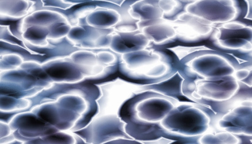 Photo Credit: Jupiterimages/Photos.com/Getty Images Microscopic cells, like these, are studied by microbiologists for many reasons.