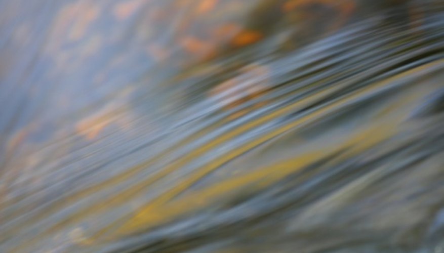 Photo Credit: Photos.com/Photos.com/Getty Images Using grey water to hydrate plants is one way to conserve water.