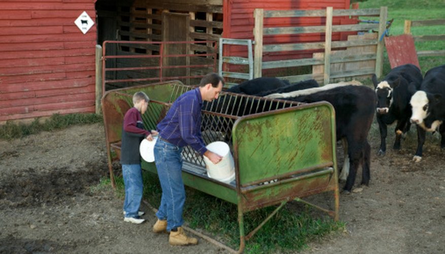 How to Build a Feed-Trough for Cattle