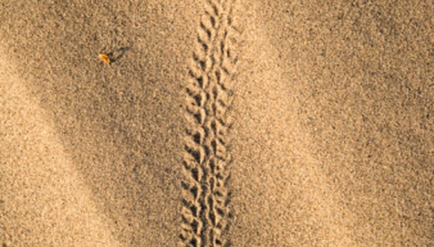 Photo Credit: Jupiterimages/Photos.com/Getty Images Fossils come in four broad types.