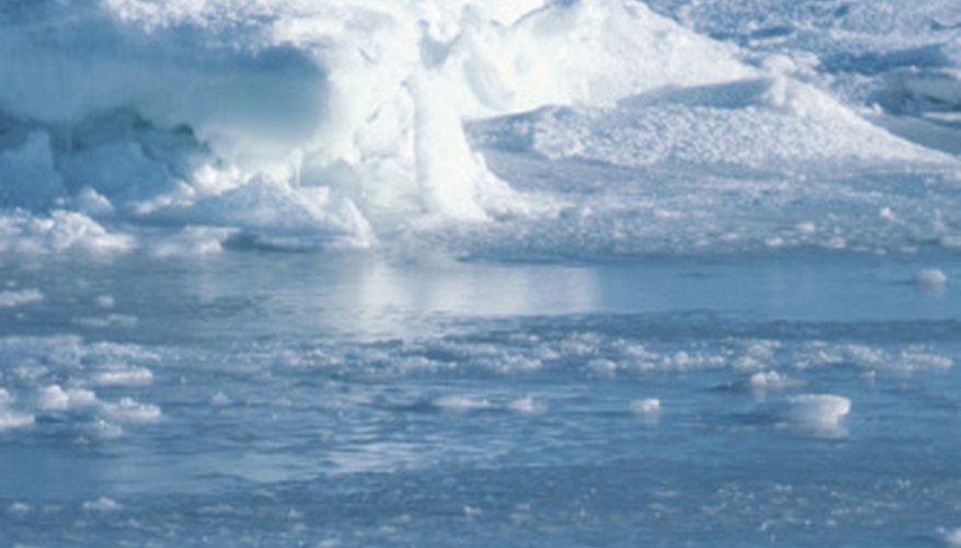 Photo Credit: Hemera Technologies/Photos.com/Getty Images The Arctic and Antarctic tundras are home to few producer species.