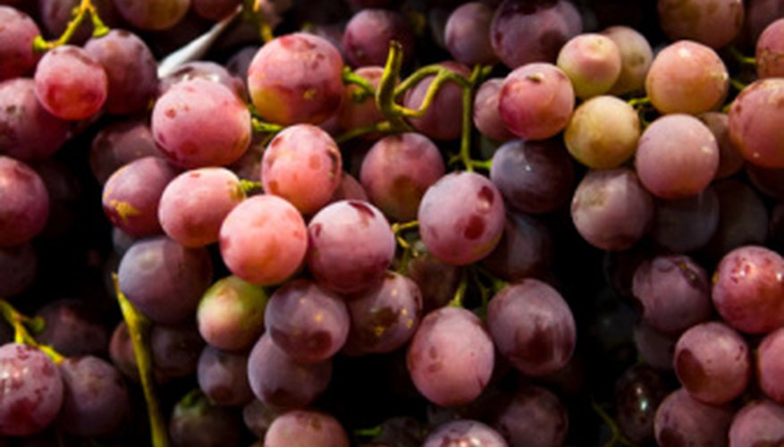 Las uvas se mantienen frescas por hasta una semana en el refrigerador.