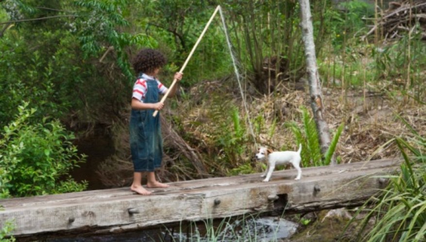 Find help paying for heartworm treatment to keep your pets healthy.