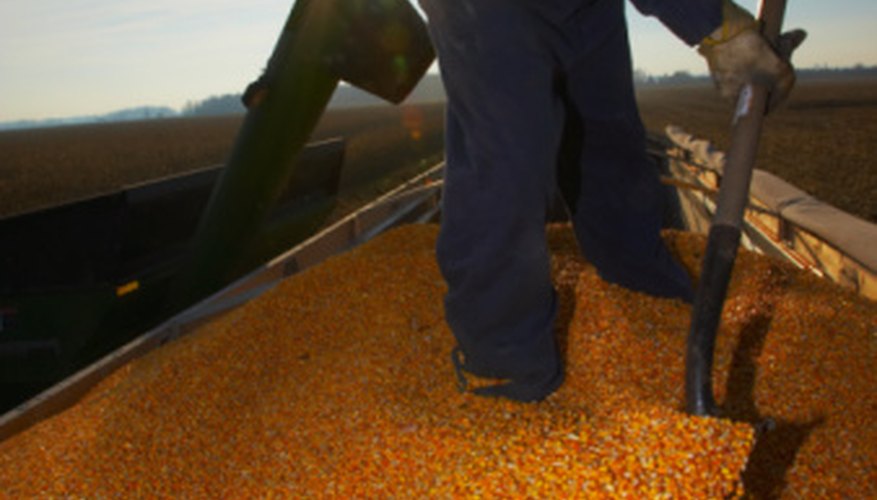 Photo Credit: Jupiterimages/Photos.com/Getty Images Measure the amount of grain in your round bin with a simple formula.