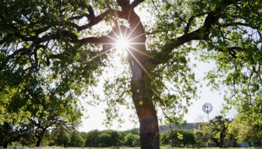 The Texas Veterans Land Board helps veterans afford Texas property.