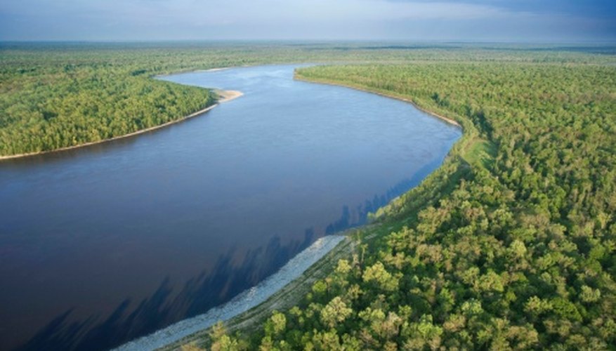 Do Marine Biomes Include Streams Rivers Ponds And Lakes