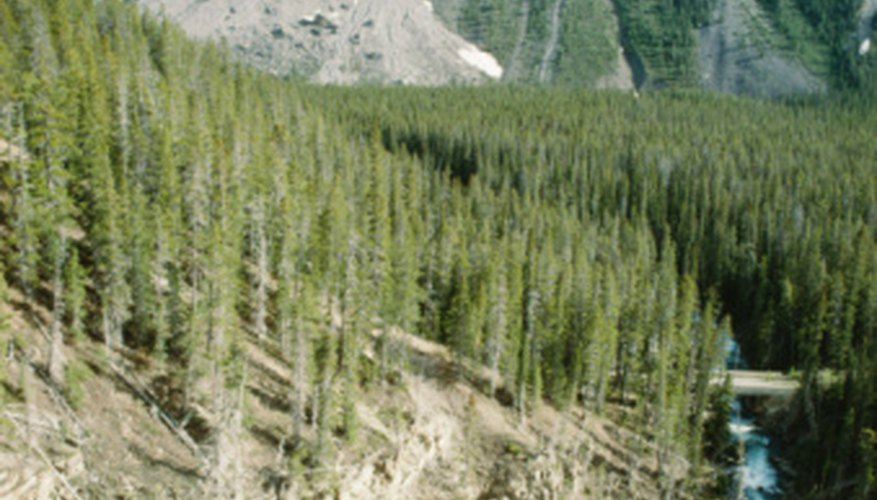 Photo Credit: Photos.com/Photos.com/Getty Images Landslides are a natural result of weathering and erosion.