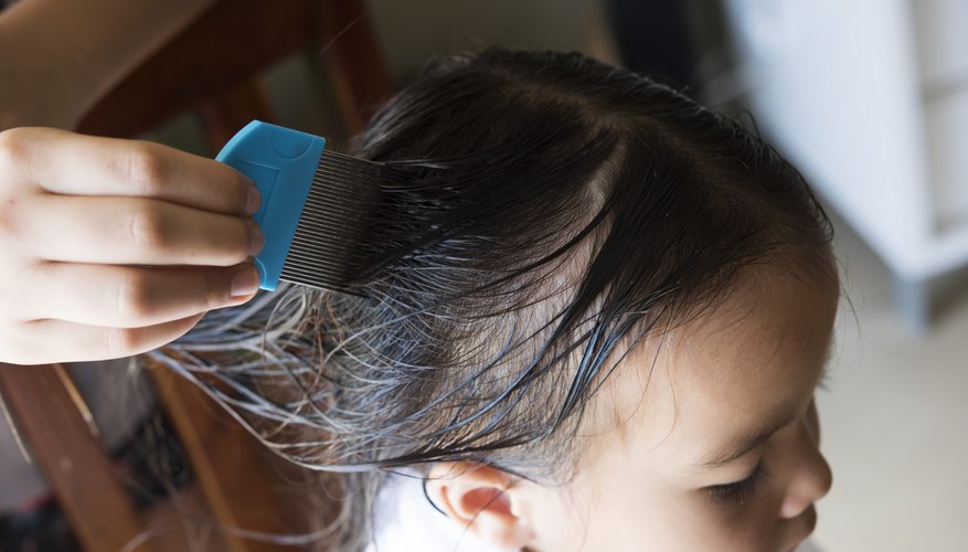 How Do Kids Get Lice Mom Life