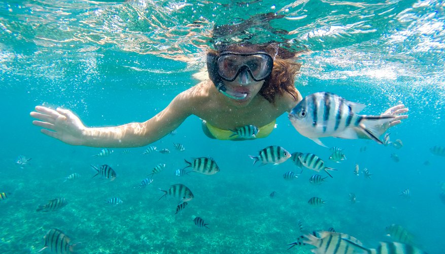 Photos: Snorkeling for science