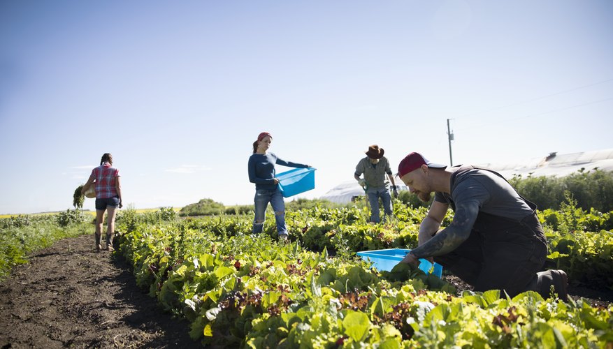 Types of Farm Work