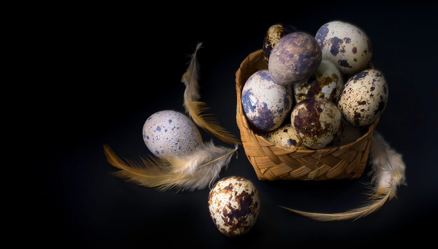Photo Credit: Azman Mohamad / EyeEm/EyeEm/GettyImages The Science Behind the Egg Drop Experiment